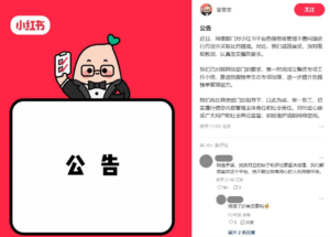 Xiaohongshu penalised by cyberspace authority over ‘trivial’ and 'negative' content