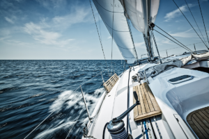 Turning volatility into value: How to thrive in uncertainty