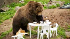 Dow Jones Futures Rise, Bitcoin Tries To Halt Slide After Nvidia-Led Market Sell-Off