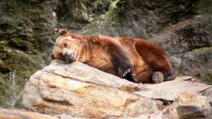 Stock Market Today: Dow Ends Lower After Fed Minutes; Two Biotech Names Tank (Live Coverage)