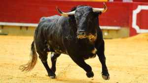 Stock Market Today: Dow, S&P 500 Close At Highs; Alphabet Hits $4 Trillion Mark (Live Coverage)