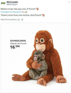 How Punch the baby macaque turned an IKEA stuffed toy into a global sensation