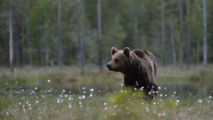 Stock Market Today: Dow Drops 450 Points; Nvidia, Palantir Sell Off (Live Coverage)