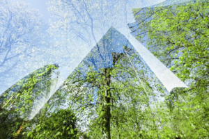 Financing the Sustainable Development Goals: Exploring the Role of Government Bond Investors