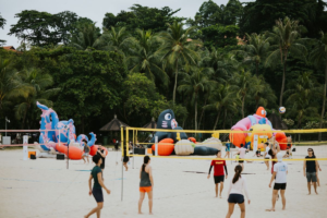Have you seen these giant lobsters on Tanjong Beach?