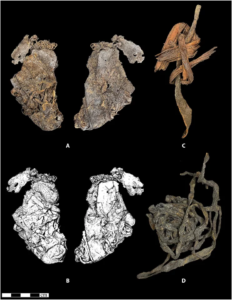 The oldest known evidence of stitched clothing