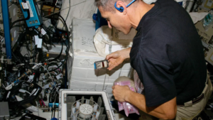 Asteroid-mining microbes extract metal from rocks in space