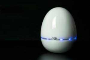 This egg-shaped mouse is the latest to offer less wrist strain