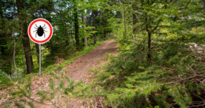 World's first vaccine for Lyme disease could be available in 2027
