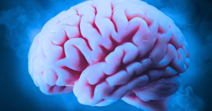 Surprising number of doctors believe we'll be reviving dead brains