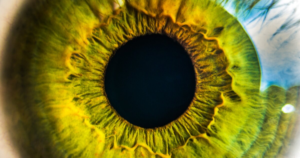 Surprising osteoporosis warning sign found in the eyes