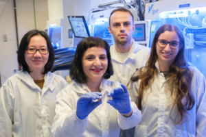 Transparent solar cells could be mounted right on windows