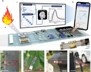 Electronic stickers turn forests into living fire alarms