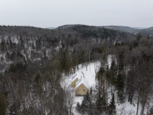Compact home in Quebec brings the forest indoors