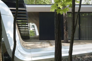 Luxury car collection hidden inside a forest garage