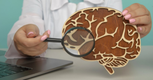 New evidence shows menopause rewires the brain