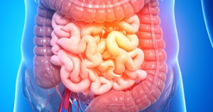 Cause of inflammatory bowel disease discovered in traitorous antibody