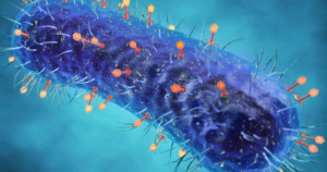 Virus found hiding in gut bacteria linked to colorectal cancer