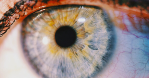 Bright evening light tied to macular degeneration, glaucoma, and cataracts