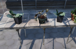 Digital twin system lets you virtually visit your greenhouse