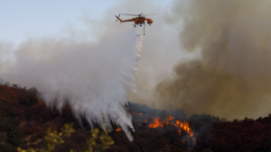 Carbon Beta: A Market-Based Measure of Climate Transition Risk Exposure